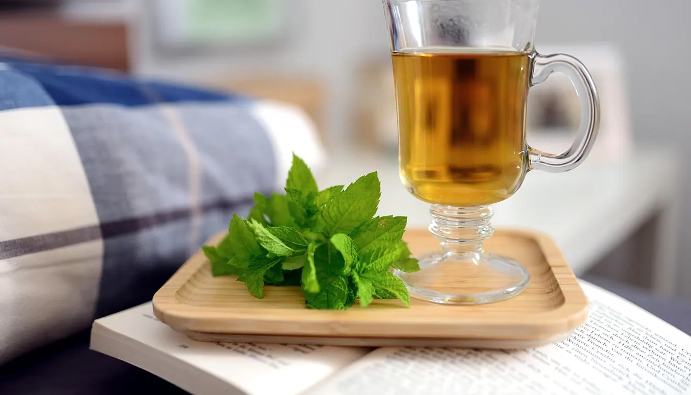 Peppermint tea, peppermint and mint